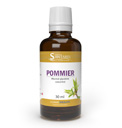 POMMIER