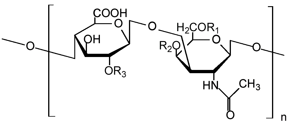 Chondroitine