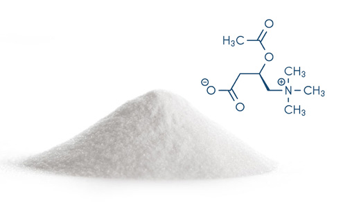 Acétyl-L-carnitine