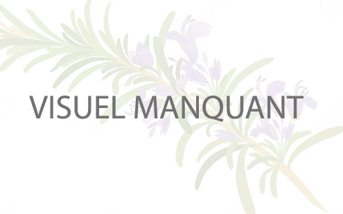 Visuel manquant