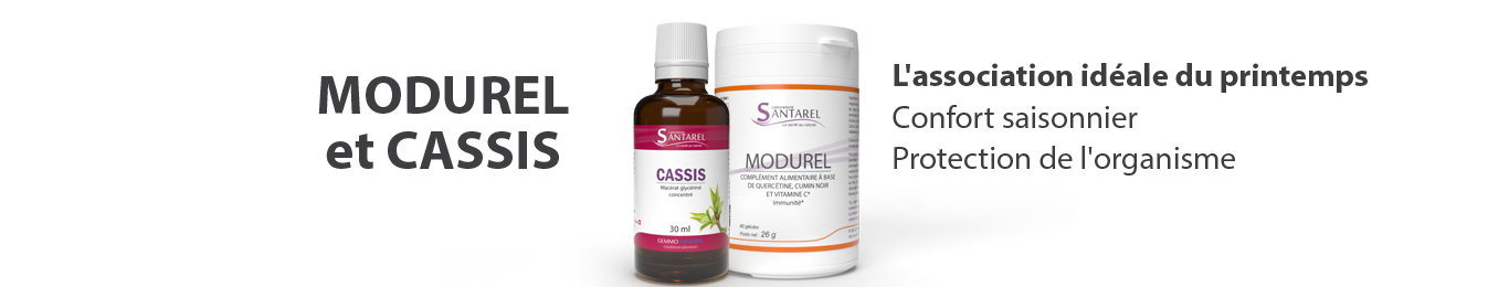 Modurel Cassis