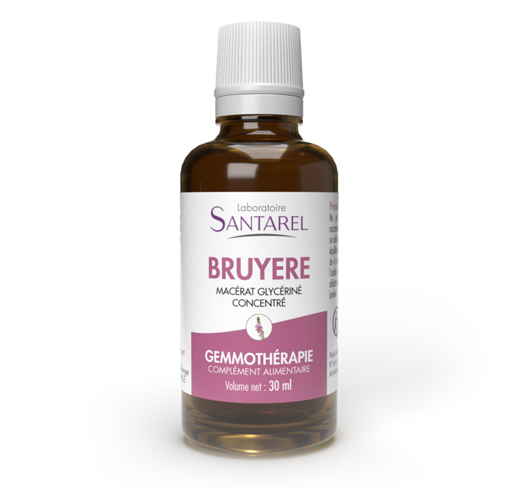 BRUYERE