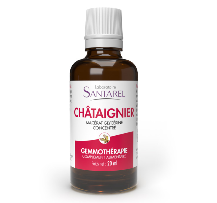 CHATAIGNIER