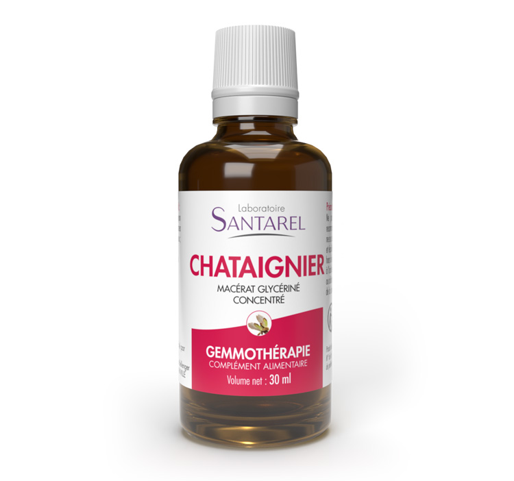 CHATAIGNIER