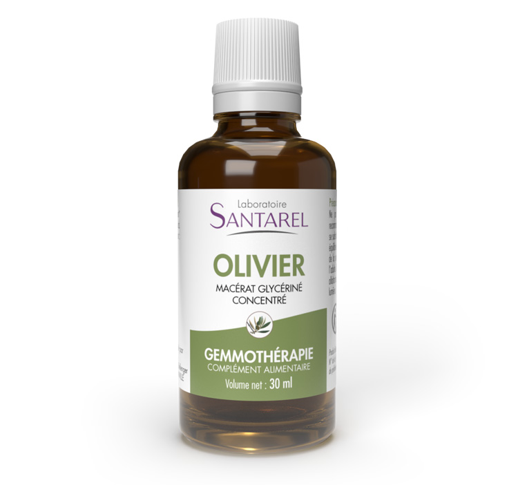OLIVIER