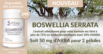 Nouveauté : Boswellia