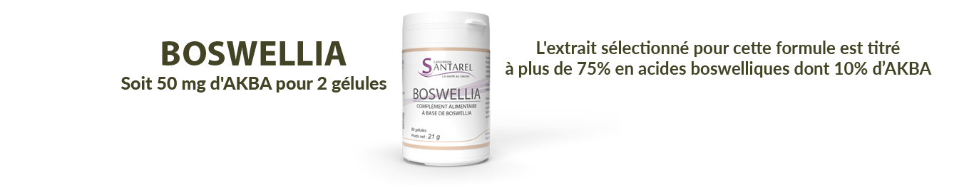 Boswellia